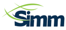 SIMM 1
